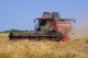 Зерноуборочный комбайн GH800 / GH810