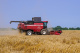 Зерноуборочный комбайн GH800 / GH810